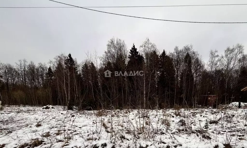 Участок в Московская область, Наро-Фоминский городской округ, д. ... - Фото 0