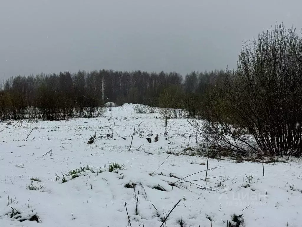 Участок в Московская область, Богородский городской округ, д. ... - Фото 2