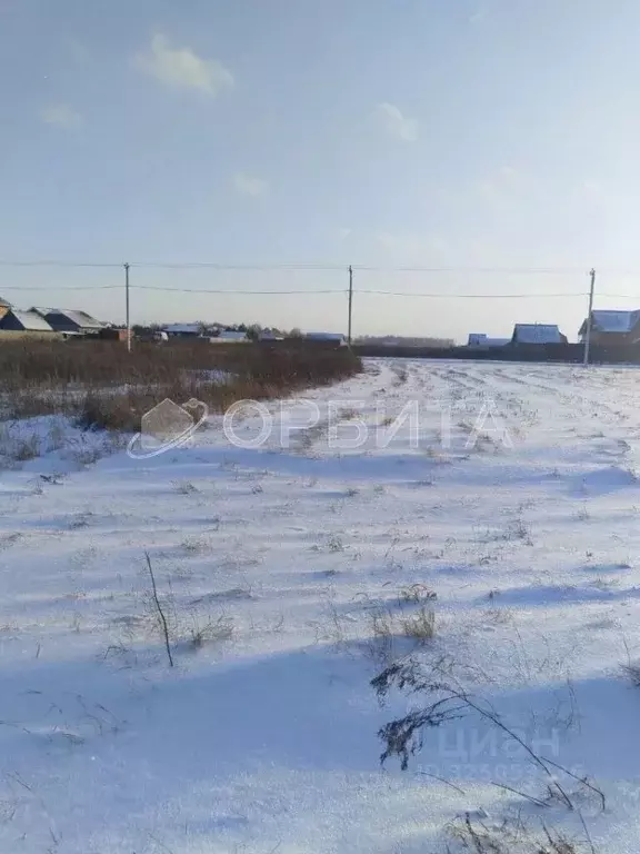 Участок в Тюменская область, Тюмень Ирбитский Тракт 3-й км от ... - Фото 1