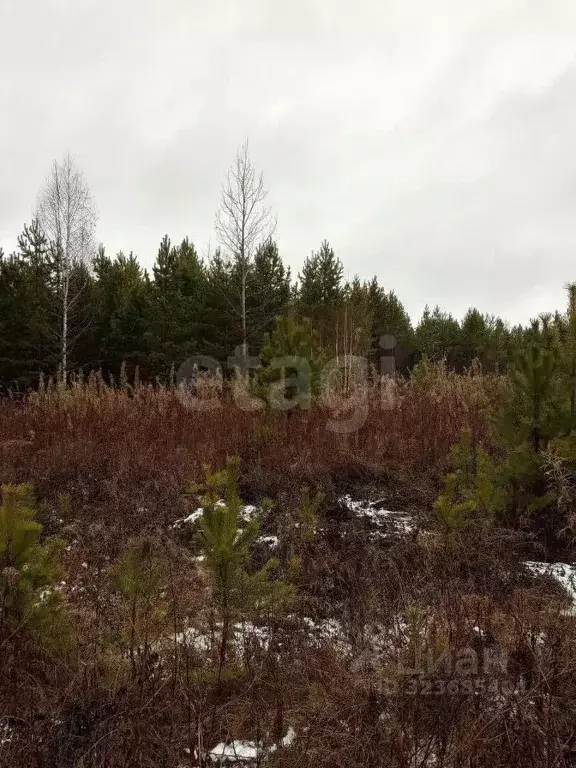 Участок в Свердловская область, Талица ул. Луначарского (12.06 сот.) - Фото 1