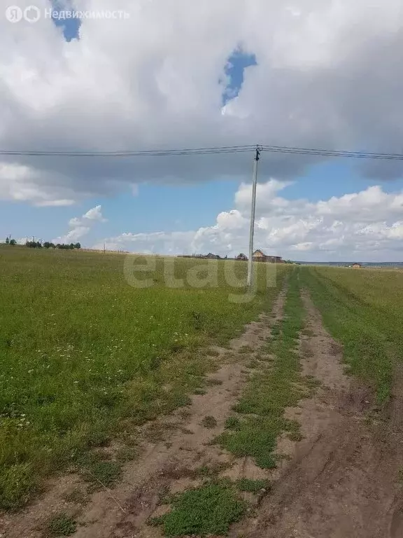 Участок в Баклашинское муниципальное образование, Падь Канонерка ... - Фото 1