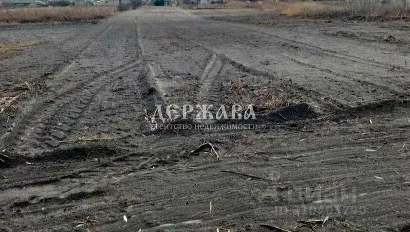 Участок в Белгородская область, Старооскольский городской округ, с. ... - Фото 0