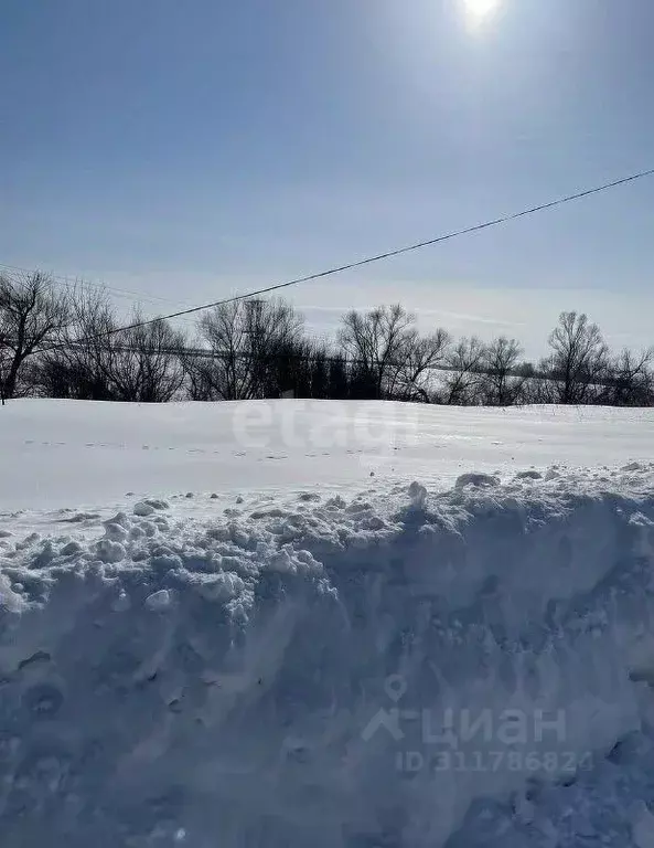 Участок в Башкортостан, Ишимбайский район, с. Петровское ул. Ленина ... - Фото 0