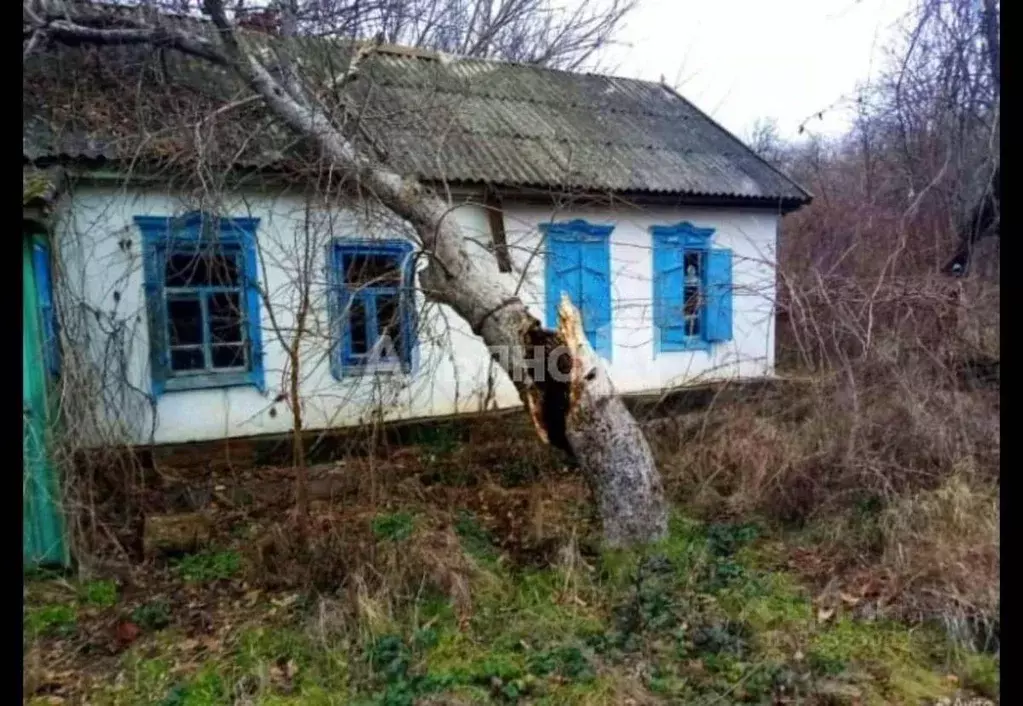 Дом в Краснодарский край, Усть-Лабинский район, Александровское с/пос, ... - Фото 1