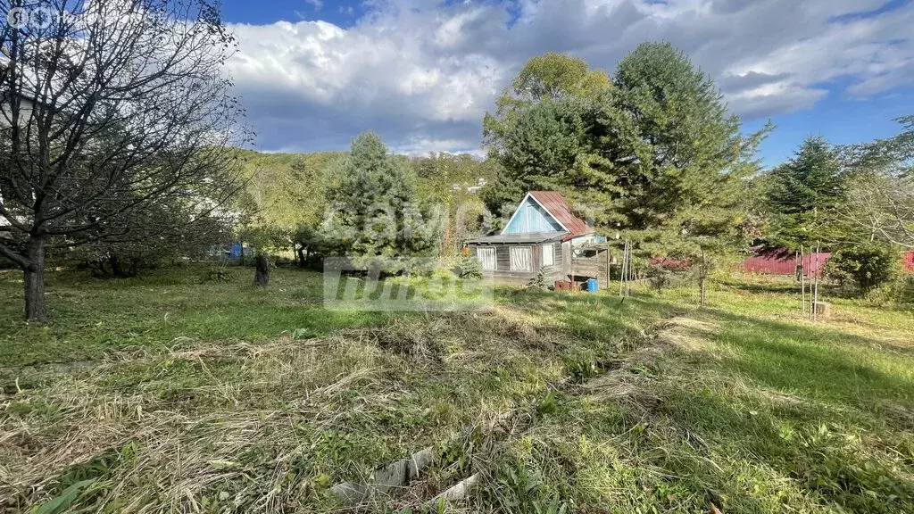 Участок в Надеждинский район, урочище Тигровая Падь (1450 м) - Фото 1