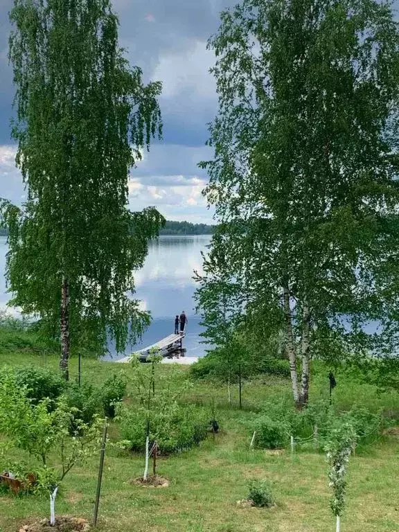 Дом в Новгородская область, Демянский муниципальный округ, д. ... - Фото 1