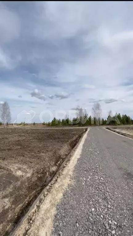 Участок в Тюменская область, Нижнетавдинский район, Сундукуль СНТ ул. ... - Фото 1