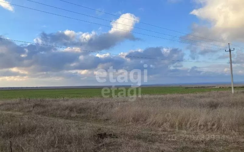 Участок в Крым, Черноморский район, с. Новосельское ул. Ленина (5.0 ... - Фото 0