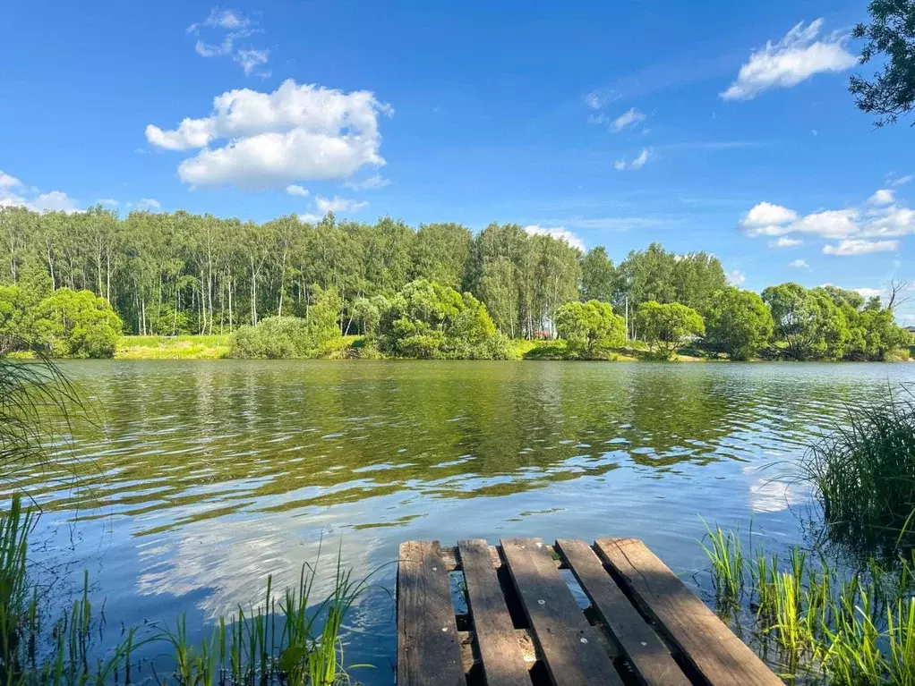 Участок в Московская область, Домодедово городской округ, с. ... - Фото 1