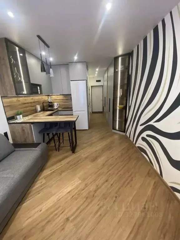 Студия Новосибирская область, Новосибирск ул. Кирова, 115 (27.0 м) - Фото 2