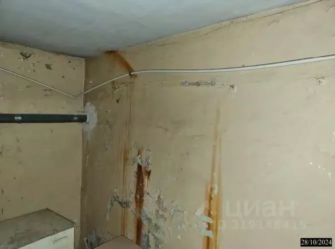 Помещение свободного назначения в Нижегородская область, Нижний ... - Фото 0