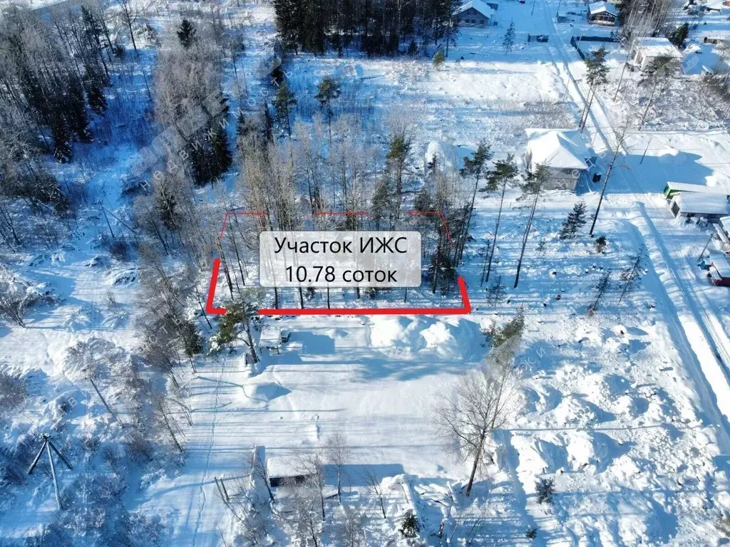 Участок в Ленинградская область, Всеволожский район, Романовское ... - Фото 1