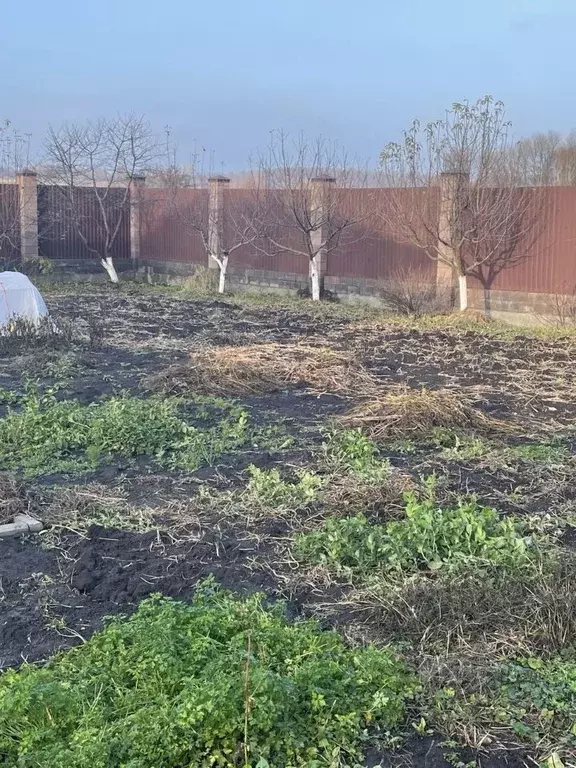 Дом в Курская область, Курский район, с. Ноздрачево  (192 м) - Фото 1