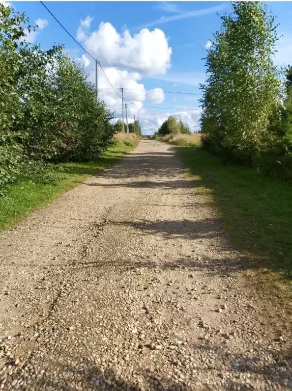 Участок в Московская область, Можайский муниципальный округ, Белые ... - Фото 2