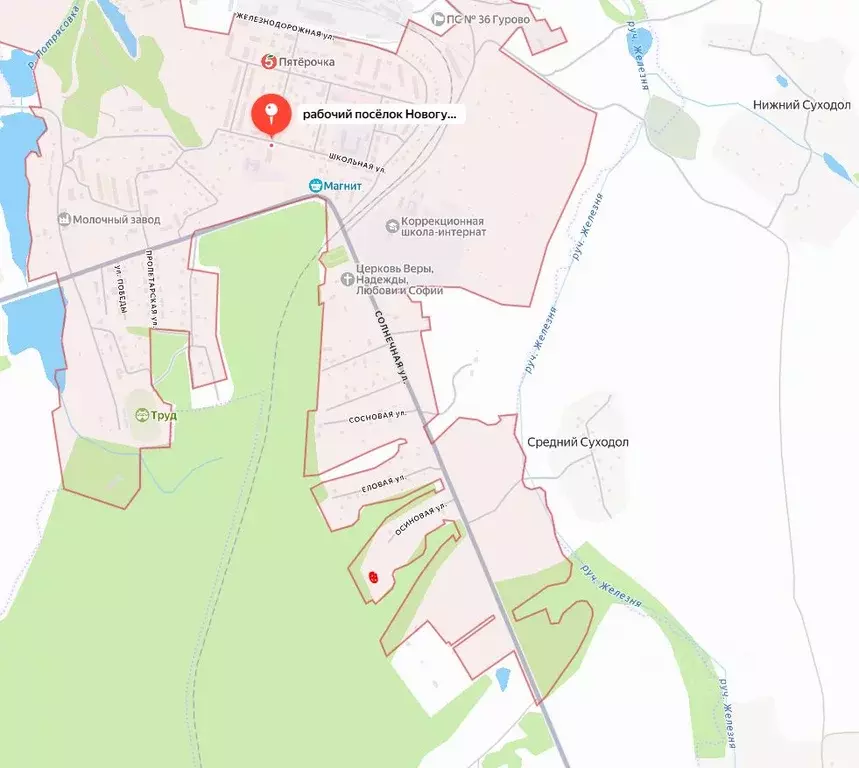 Участок в Тульская область, Новогуровский рп ул. Осиновая, 21 (14.36 ... - Фото 2