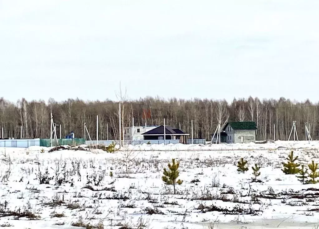 Участок в Тюменская область, Тюменский район, д. Падерина Луговая ул. ... - Фото 0