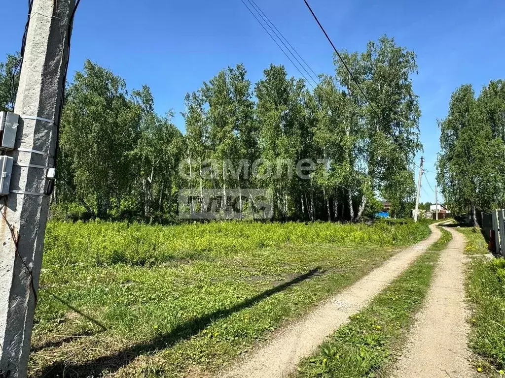 Участок в Челябинская область, Сосновский муниципальный округ, Надежда ... - Фото 2