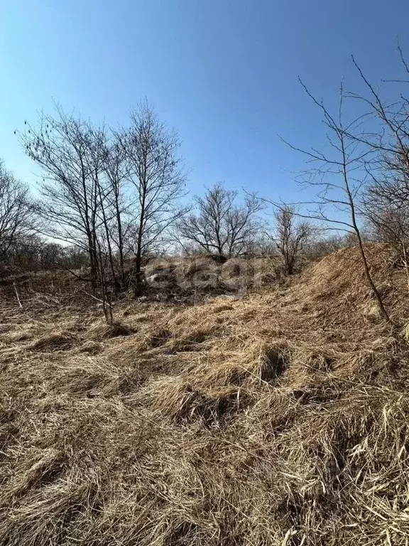 Участок в Сахалинская область, Анивский городской округ, с. Успенское  ... - Фото 0