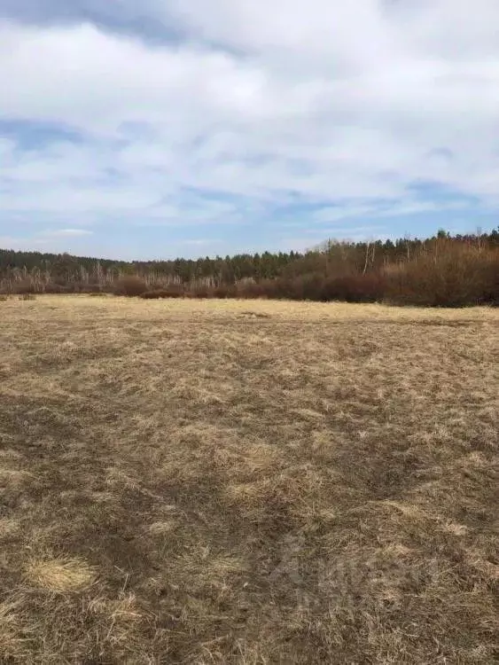 Участок в Иркутская область, Шелеховский район, Олхинское ... - Фото 0