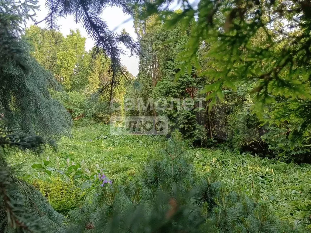 Участок 12 сот. (СНТ, ДНП) - Фото 1