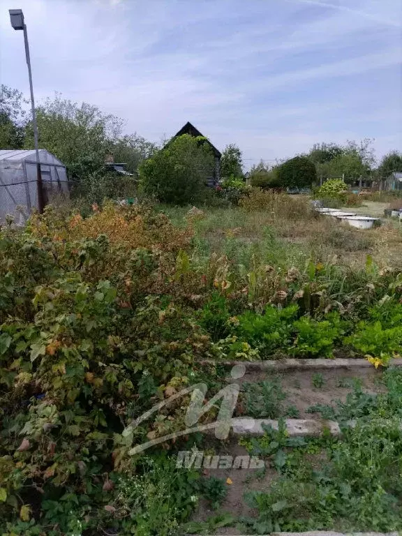 Продается участок в д. Шевелкино - Фото 1