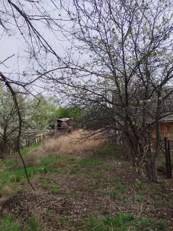 Участок в Амурская область, Благовещенск Ясное СНТ,  (7.0 сот.) - Фото 1