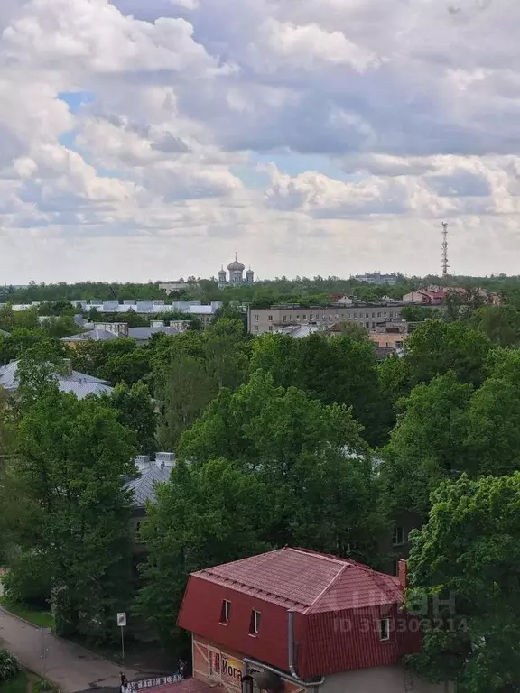 Студия Ленинградская область, Гатчина ул. Хохлова, 16 (23.8 м) - Фото 0