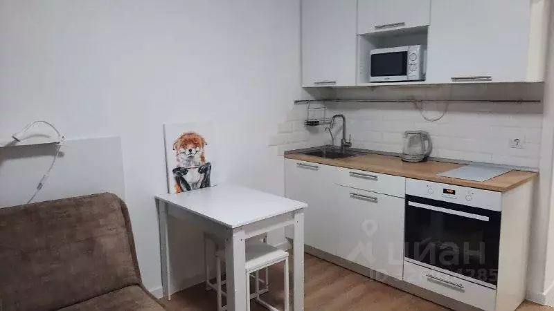 Студия Московская область, Красногорск ул. Видная, 3 (20.0 м) - Фото 2