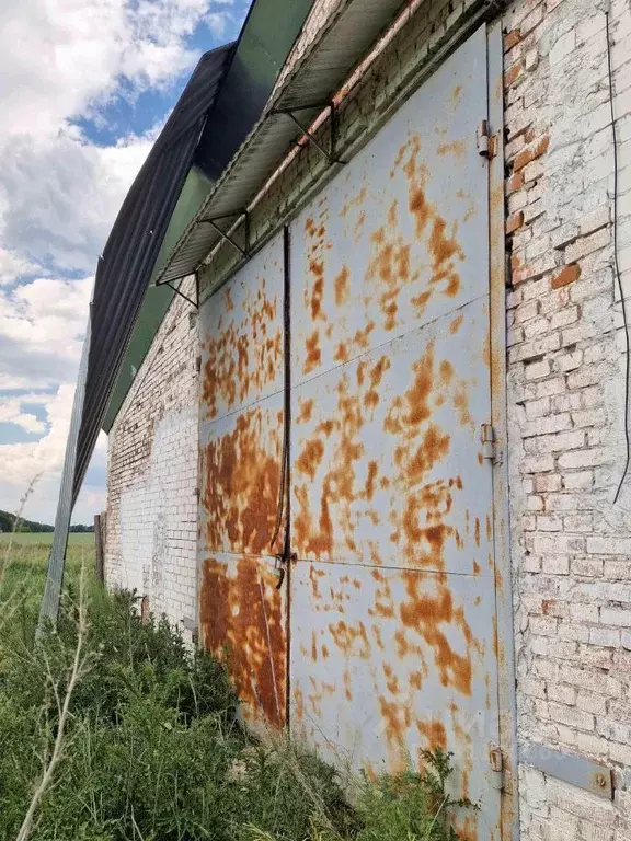 Помещение свободного назначения в Воронежская область, Рамонский ... - Фото 2