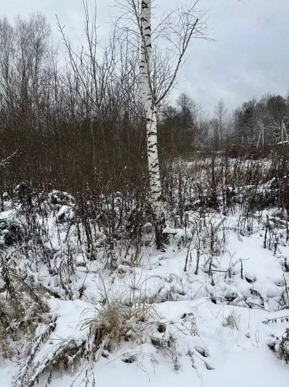 Участок в Московская область, Чехов муниципальный округ, пос. ... - Фото 2