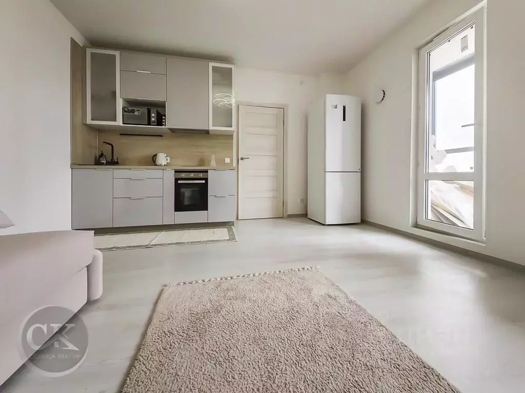 Студия Санкт-Петербург просп. Буденного, 21к2 (25.9 м) - Фото 0