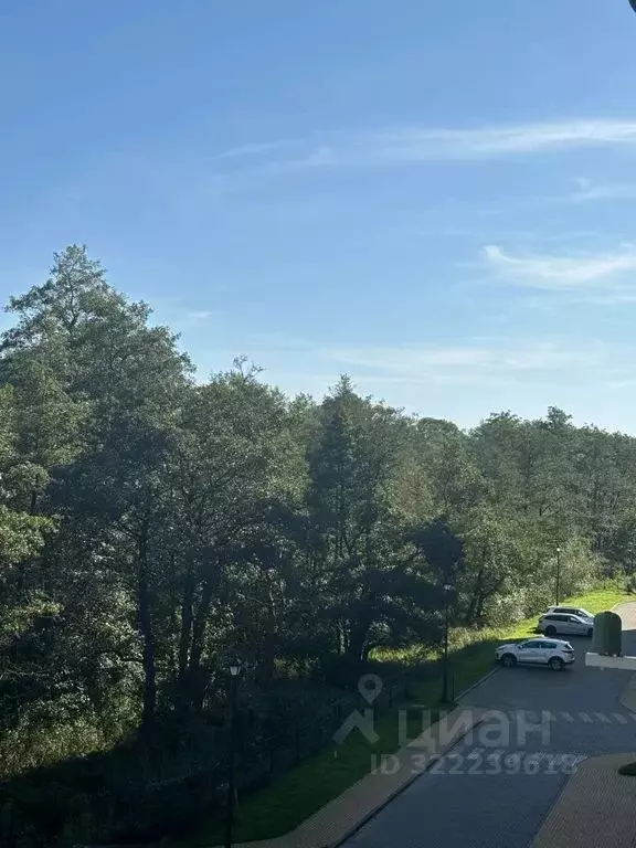 1-к кв. Калининградская область, Зеленоградск ул. Большая Окружная, 2Б ... - Фото 2