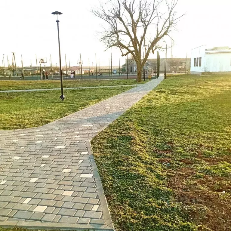 Участок в Крым, Сакский район, Штормовское с/пос, с. Приветное ул. ... - Фото 2