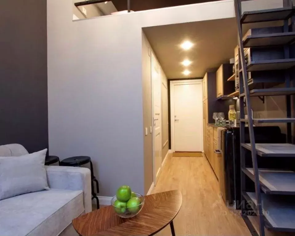 1-к кв. Санкт-Петербург Малая Морская ул., 19 (17.0 м) - Фото 2