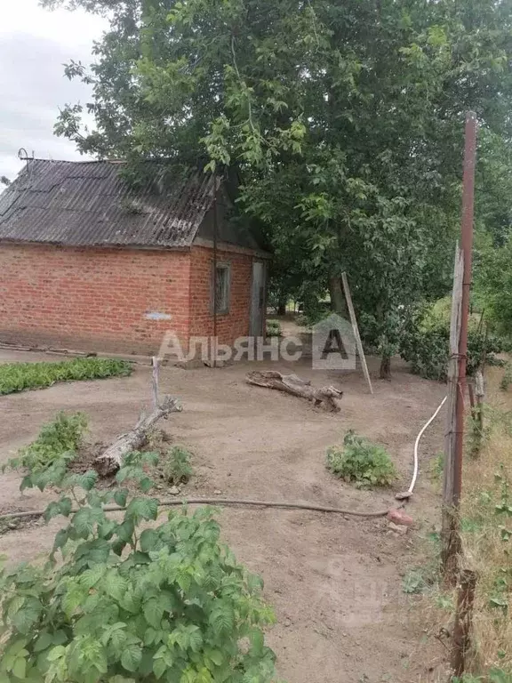 Участок в Ростовская область, Белая Калитва БКМПО-1 садоводческое ... - Фото 2