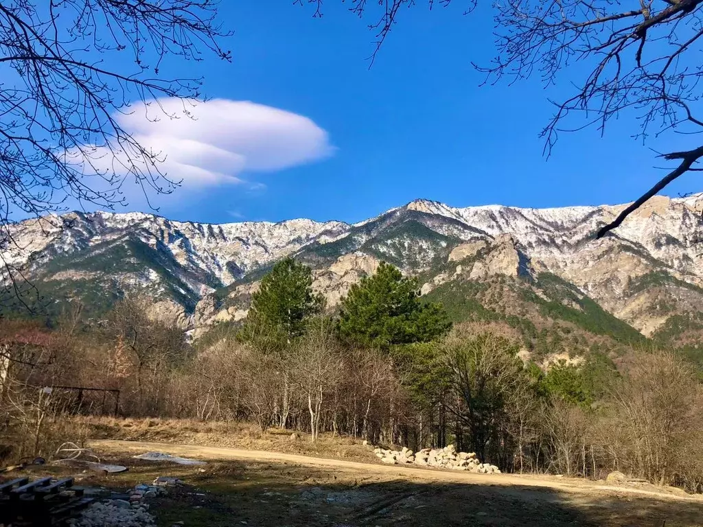 Крым пгт виноградное. Пгт виноградное Ялта.