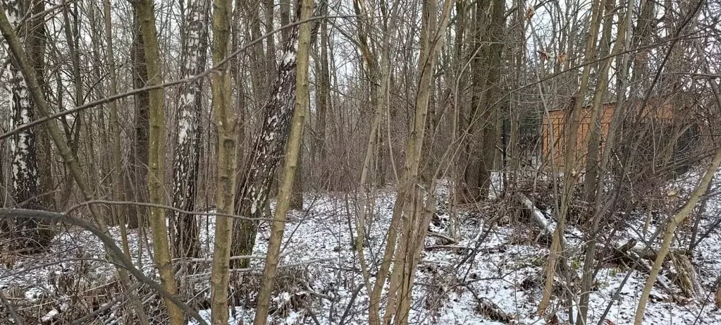 Участок в Московская область, Подольск городской округ, пос. Быково ... - Фото 2