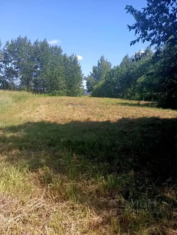 Участок в Ярославская область, Пошехонский район, Пригородное с/пос, ... - Фото 2