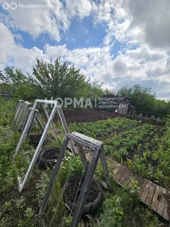 Участок в Октябрьский, КС Черёмушки-2, 105 (8.88 м) - Фото 2