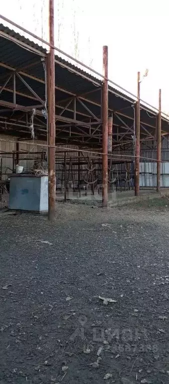 Участок в Ростовская область, Шахты Сокольнический пер. (6.0 сот.) - Фото 2