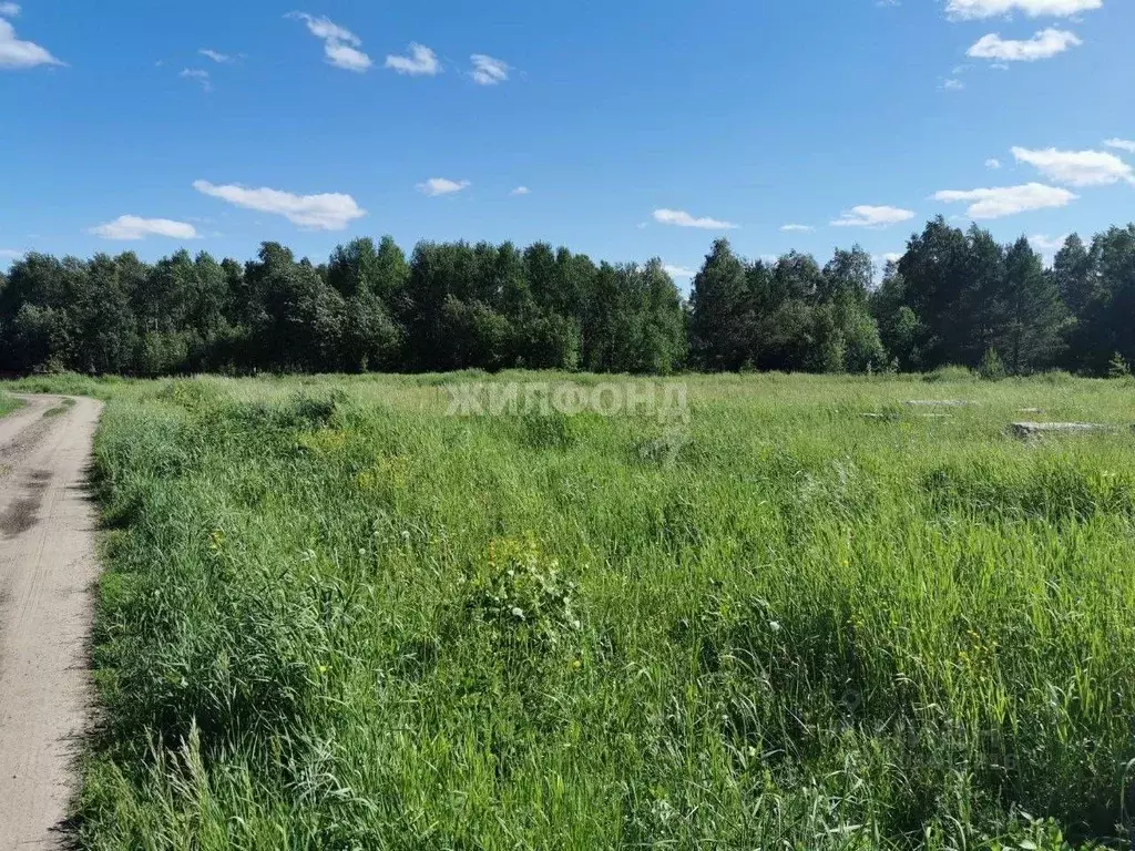 Участок в Томская область, Томский район, с. Кафтанчиково ул. ... - Фото 0