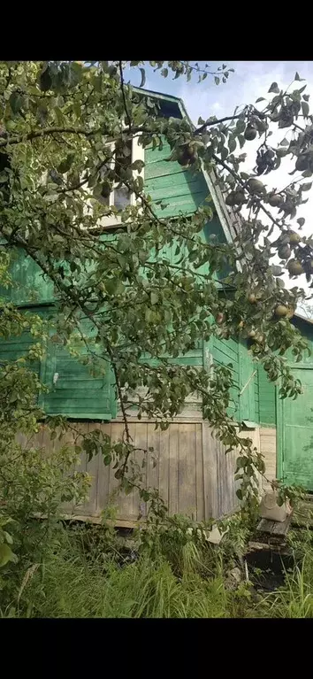 Участок 5 сот. (СНТ, ДНП) - Фото 0