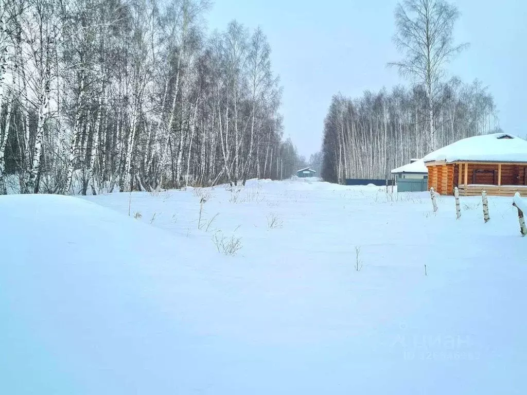Участок в Рязанская область, Рязанский муниципальный округ, с. ... - Фото 2