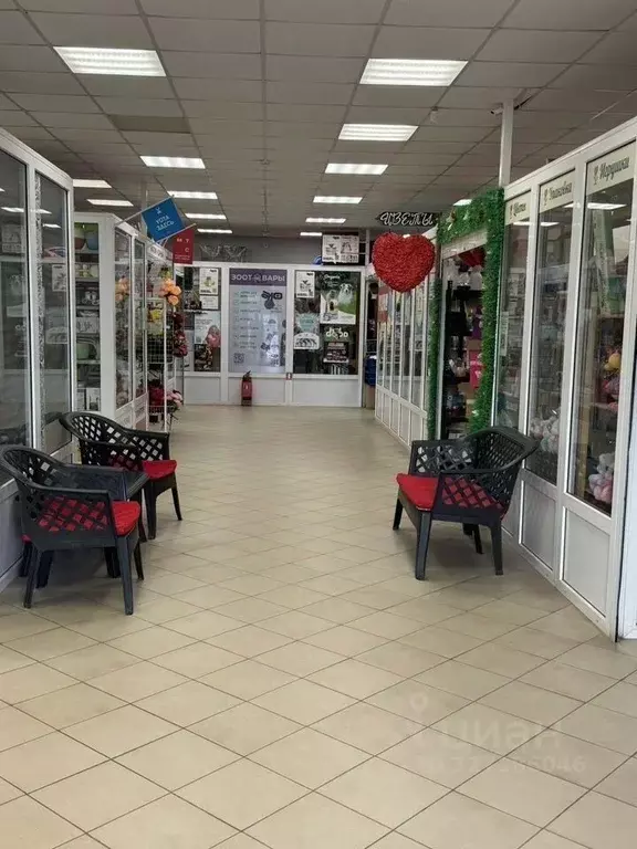 Помещение свободного назначения в Ленинградская область, Ломоносовский ... - Фото 2