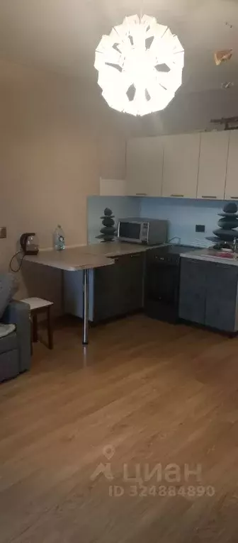 Студия Ленинградская область, Всеволожский район, Колтушское городское ... - Фото 2