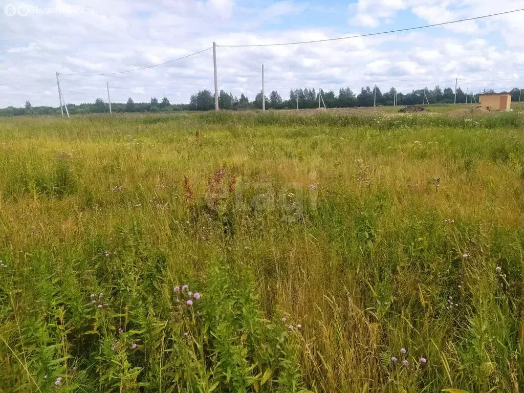 Участок в Кострома, коттеджный посёлок Соколиное Гнездо, 1 (8.3 м) - Фото 0
