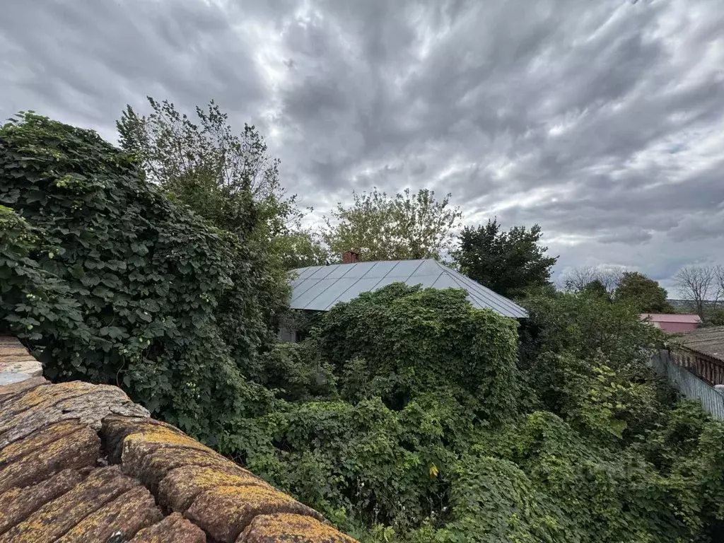 Дом в Липецкая область, Задонск ул. Карла Маркса, 24 (51 м) - Фото 1