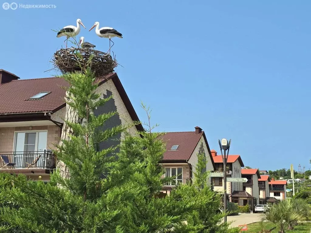 Дом в Сочи, улица Мечтателей, 15 (88.1 м) - Фото 2