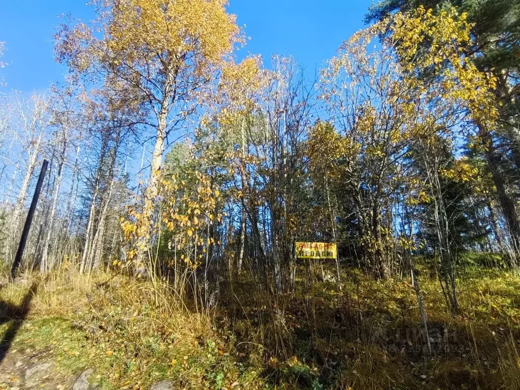 Участок в Ленинградская область, Выборгский район, Селезневское с/пос, ... - Фото 2