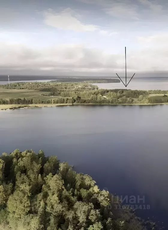Участок в Ленинградская область, Приозерский район, Громовское с/пос, ... - Фото 1